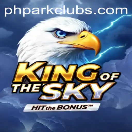 KingOfTheSky: A Captivating Journey Through the Virtual Clouds